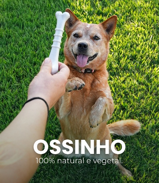 Composição BioBone