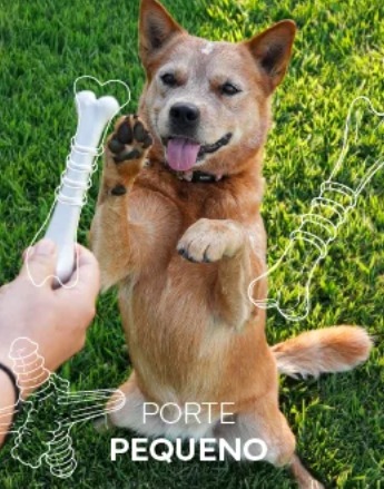 Porte Pequeno